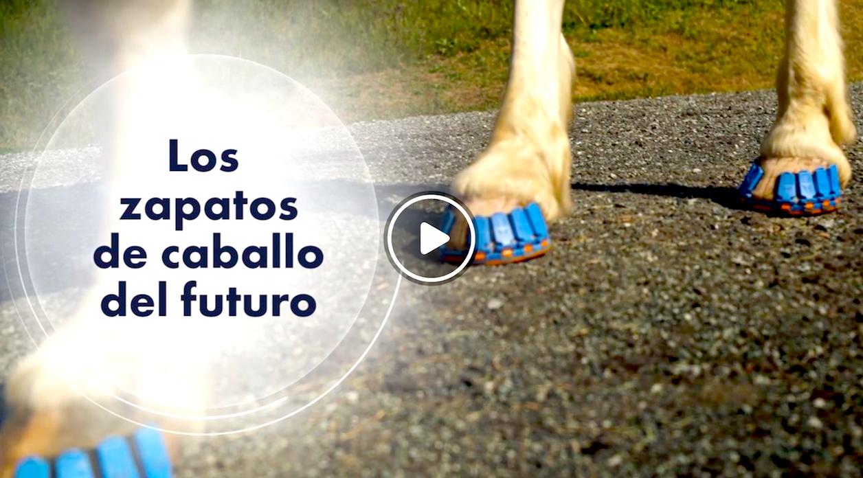 pies caballos - Tecnología Para Que Los Caballos Paren De Sufrir