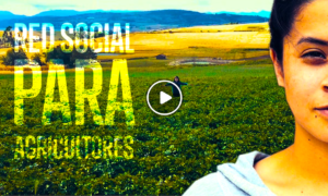 red agriculatora 300x180 - La Red Que Salva A Toda Una Comunidad Agrícola