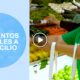 tianguis 80x80 - La Tecnología Llega A Los Tianguis Mexicanos