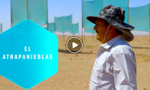 ATRAPANIEBLAS 300x180 - Niebla Milagrosa: Cómo Conseguir Agua En El Desierto
