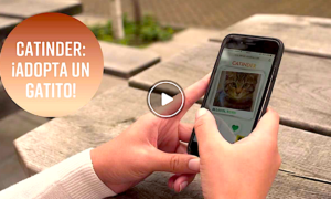 CATINDER 300x180 - La App Que Le Da Esperanza A Los Gatos Sin Casa