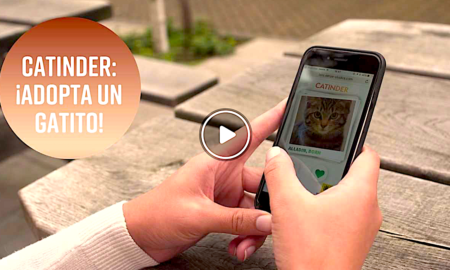 CATINDER 450x270 - La App Que Le Da Esperanza A Los Gatos Sin Casa