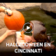 HALLZOO WEEN 80x80 - HallZOOween: El Mes Más Aterrador De Cincinnati