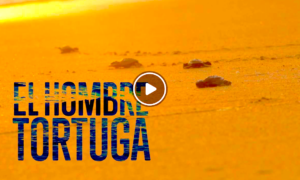 HOMBRE TORTUGA 300x180 - El Hombre Tortuga: Contra El Contrabando