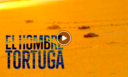 HOMBRE TORTUGA 450x270 - El Hombre Tortuga: Contra El Contrabando