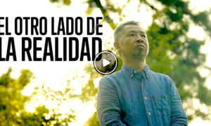 LOCURA 300x180 - Así Ven El Mundo Las Personas Con Trastornos Mentales