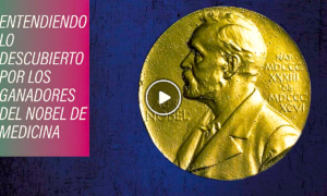 NOBEL MEDICINA 300x180 - 5 Factores Para Entender El Premio Nobel De Medicina