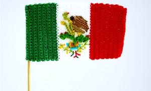 TEJIENDO MEXICO 300x180 - Tejiendo Por México