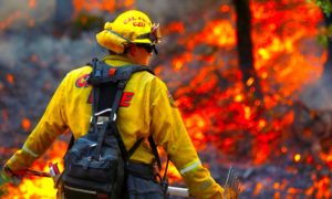arde california 300x180 - Inquietantes Imágenes De Los Incendios De California