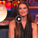 brooke shields 80x80 - ¿Fue Brooke Shields Novia De Trump?