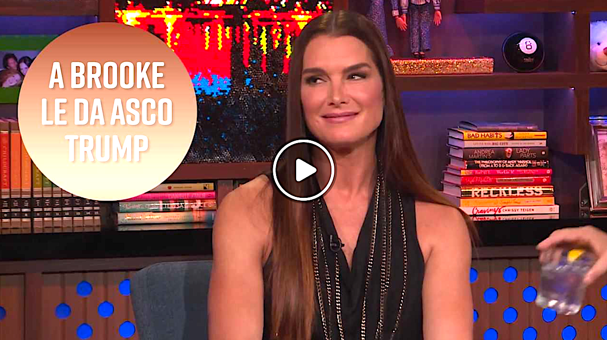 brooke shields - ¿Fue Brooke Shields Novia De Trump?