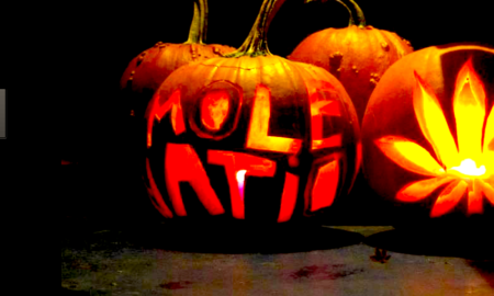 mole 959x600 1 450x270 - Mole De Calabaza