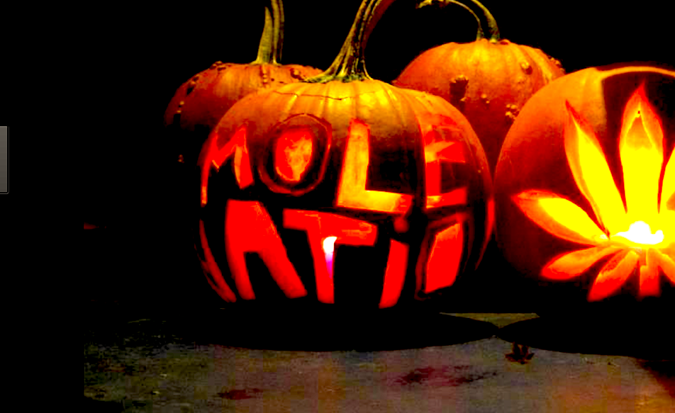 mole 959x600 1 - Mole De Calabaza