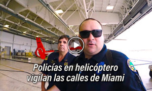 LOBOS DE MAR 300x180 - Policia De Miami Usa Al 'Lobo Del Aire'