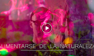 NATURALEZA 300x180 - El Hombre Que Se Alimentaba De La Naturaleza
