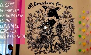 CAFE LIBERATION 300x180 - El Café Vegano Que Lucha Contra La Intolerancia