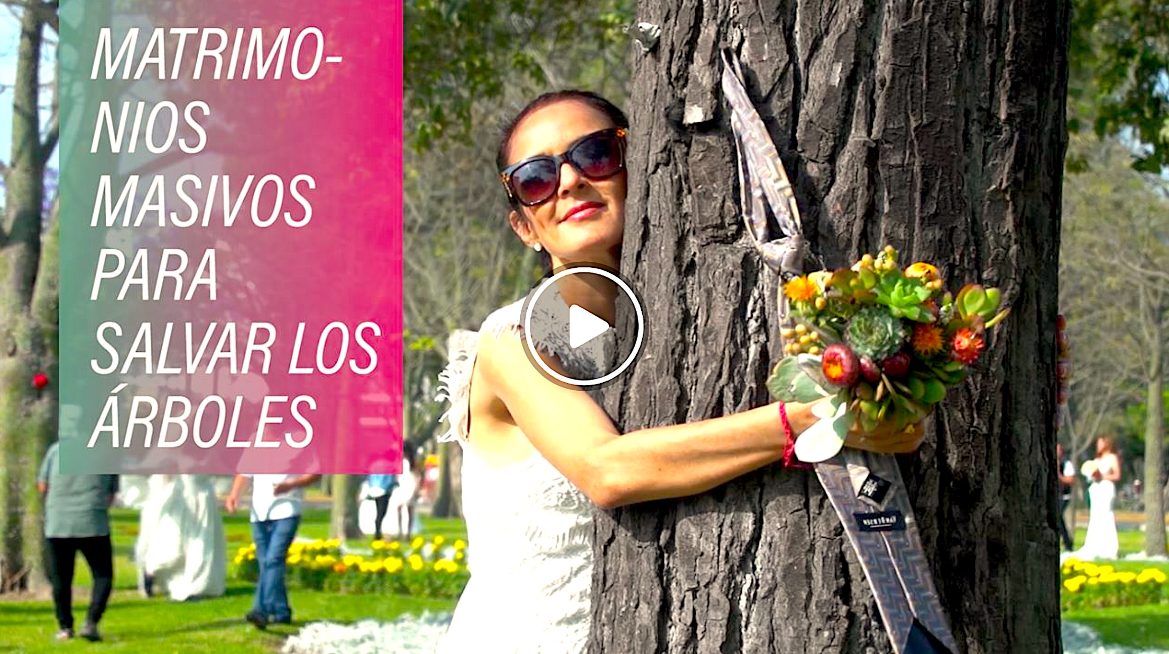 CASARSE ARBOL - ¿Te Casarías Con Un Árbol Para Salvar Un Parque?