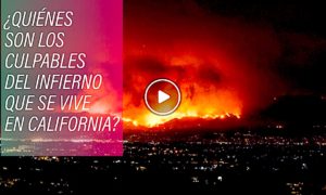 INCENDIOS 1 300x180 - Incendio En California: ¿Cuestión De Política?