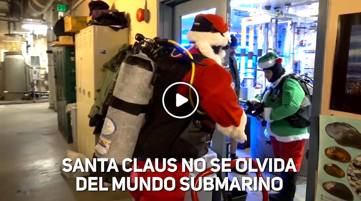 SANTA - Santa Claus Visita Las Profundidades Marinas