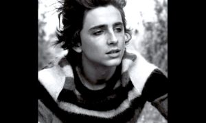 CHALAMET 300x180 - Chalamet y Woody Allen: Controversias... de Octubre