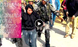 CISJO 300x180 - Cisjordania: Ejército Israelí Golpea A Mujer Musulmana