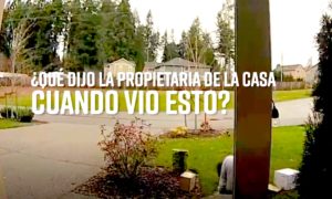 KARMA 300x180 - El Karma Actuó Sobre Esta 'Ladrona De Pórticos'