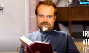 STRANGER 300x180 - David Harbour Oficiará La Boda De Una Fanática