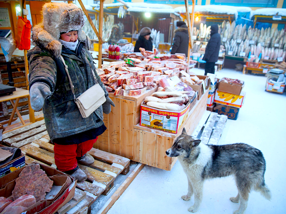 food market - Sobreviviendo Al Frío Del Mercado De Pescado De Yakutsk