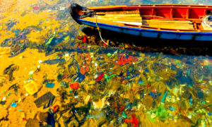 plasticos medio marino 300x180 - Olas De Basura