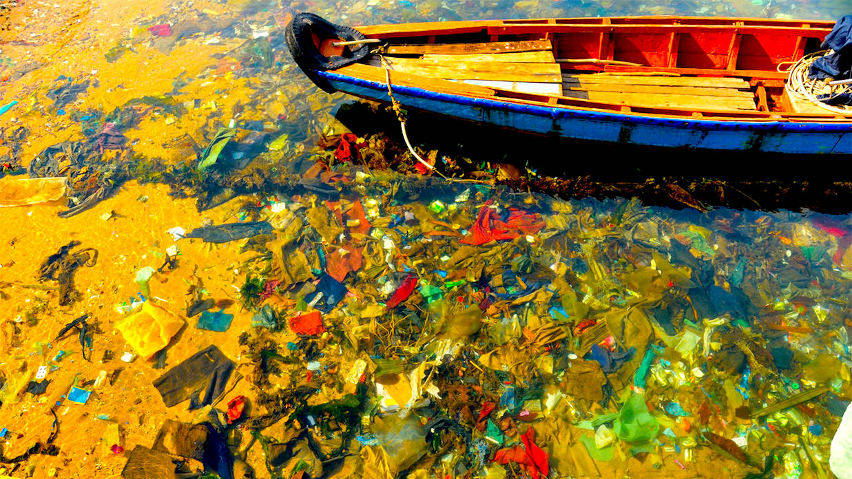 plasticos medio marino - Olas De Basura