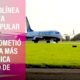 RYANA 80x80 - Ryanair Quiere Ser La Aerolínea Más Ecológica En 5 años