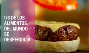 COMIDA 300x180 - Lombrices Veganas: Se Comen Tus Desechos