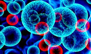 GENETICA 300x180 - ¿Conducción Genética?