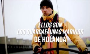 HOLANDESES 300x180 - Este Equipo De Eco-Guerreros Te Necesita