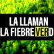 FIEBRE VERDE 80x80 - La Marihuana Legal Sube Los Precios De La Vivienda