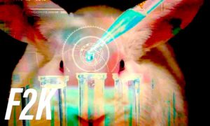 animales 300x180 - Los Experimentos Con Animales Podrían Tener Los Días Contados