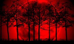 luna de sangre 300x180 - Vuelve La Luna De Sangre