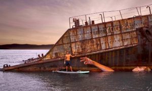 sean yoro 300x180 - Grafitis Ecológicos