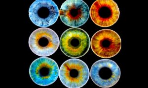 LENTES 300x180 - Tus Lentes Contaminan
