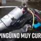 unnamed file 1 80x80 - Pingu Tiene Una Visita: ¿Qué Hace Un Buzo En Mi Piscina?