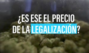 LEGALIZACION 300x180 - Consumidores Canadienses De Cannabis Están Molestos Por Los Empaques