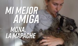 unnamed file 5 300x180 - Una 'Roommate' Complicada