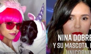 MASCOTAS 300x180 - 'Perroween': Mascotas Famosas Mejor Vestidas