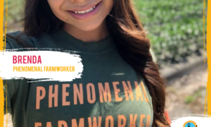 Copy of ALT SM TEMPLATE FARM WORKERS V2 BRENDA 300x180 - Unase a Altísimo Live! hoy y apoye los trabajadores del campo