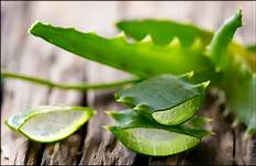 th 7 - 12 beneficios del aloe vera