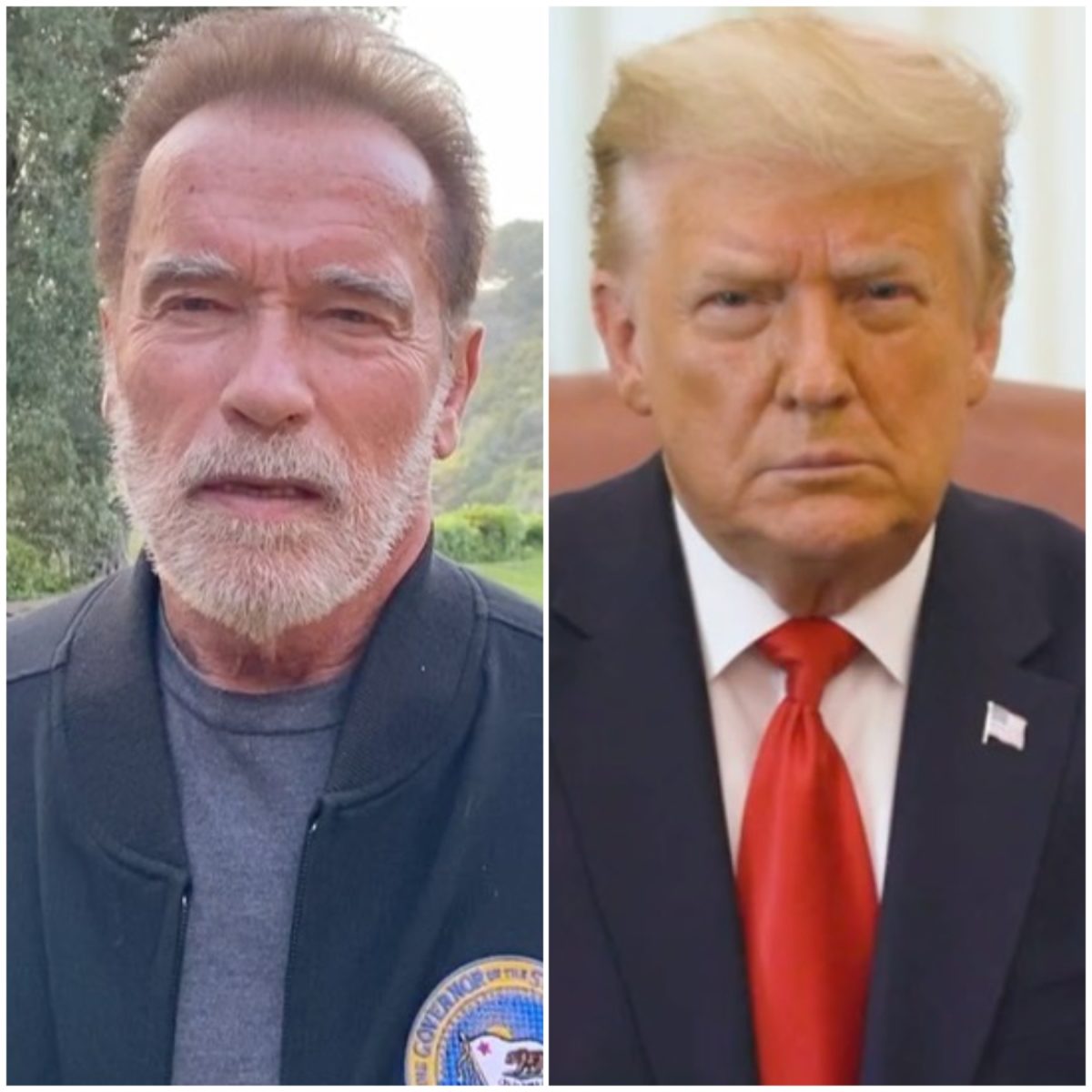 descarga 2021 01 11T154057.520 1200x1200 - Arnold Schwarzenegger tacha a Donald Trump como 'peor presidente de la historia'