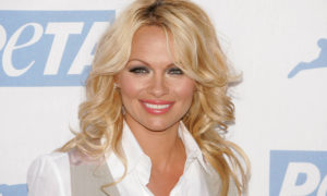 pamela anderson se casa por sorpresa repasamos sus romances y escandalos 300x180 - Pamela Anderson planeaba casarse en pijama