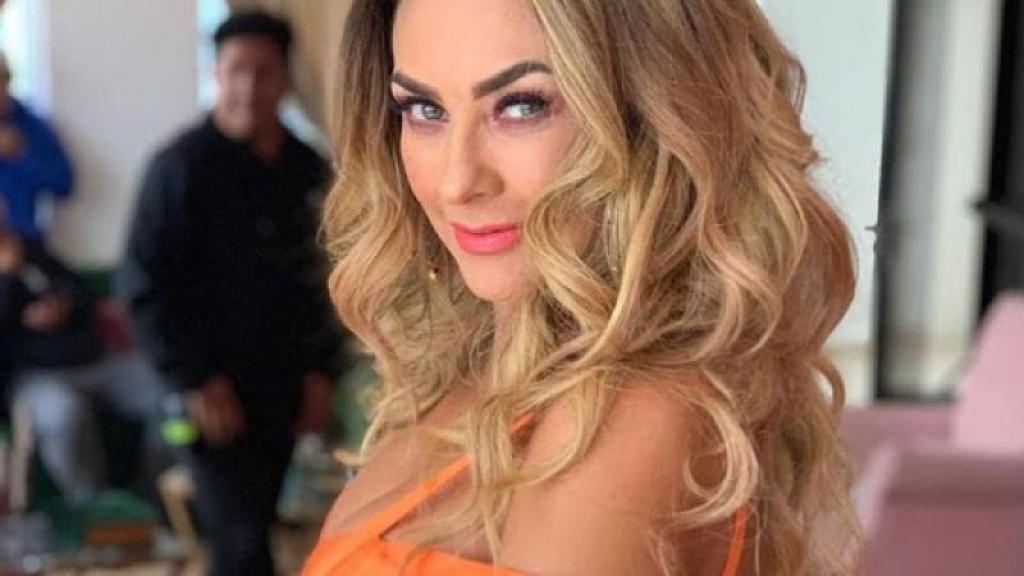 aracely arambula - Aracely Arámbula recibe disculpa pública tras asalto