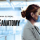 greys sony s17 esp2 80x80 - "Grey's Anatomy" confirma su temporada 19