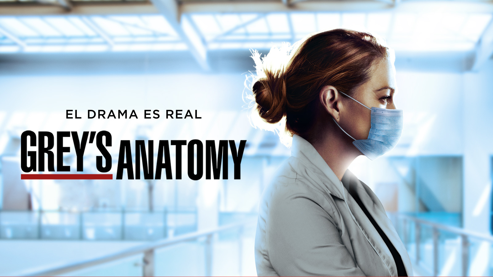 greys sony s17 esp2 - "Grey's Anatomy" confirma su temporada 19